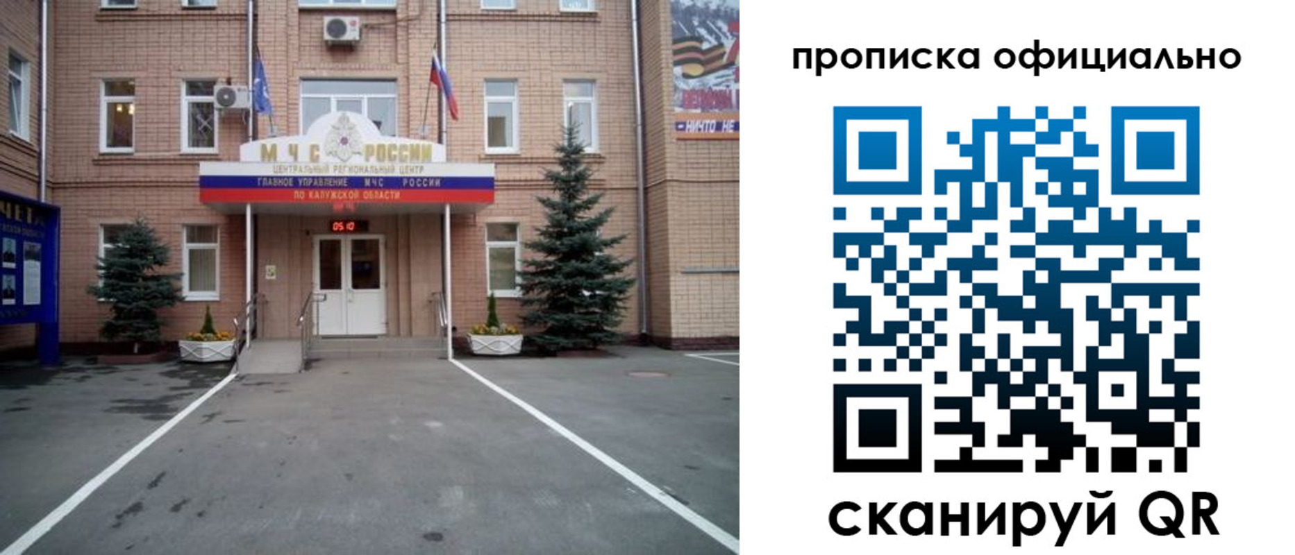 прописка для школы в Химках